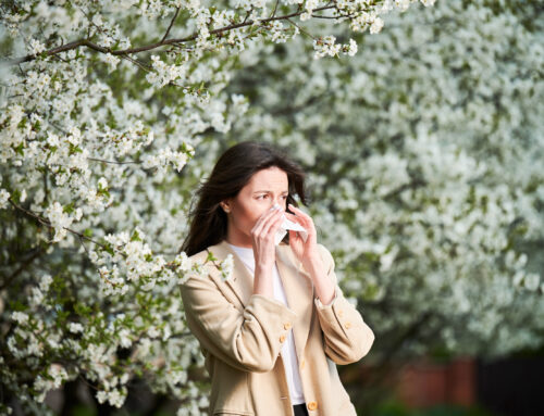 Surviving Tree Pollen Season