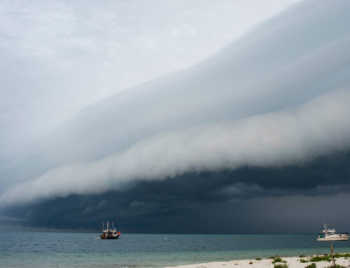 Hurricane Season
