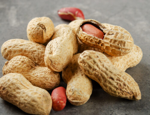 Peanut Allergy:  A Tough Nut to Crack
